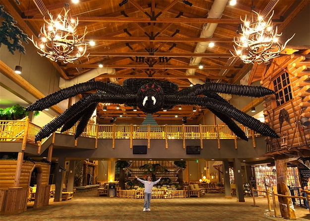 A világ legnagyobb pókja