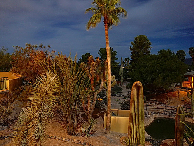 Sivatagi királyság - Brown Residence, Scottsdale, Arizona