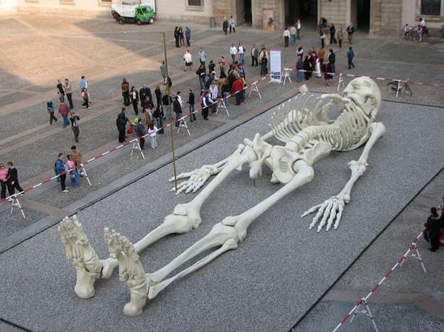 Gino De Dominicis és az óriási utazó csontváz